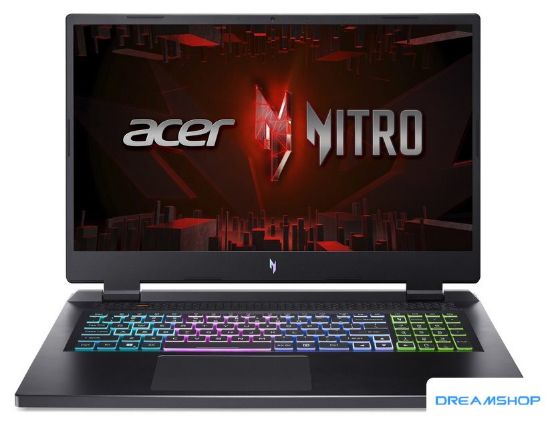 Изображение Игровой ноутбук Acer Nitro 17 AN17-41-R0LG NH.QKLCD.005